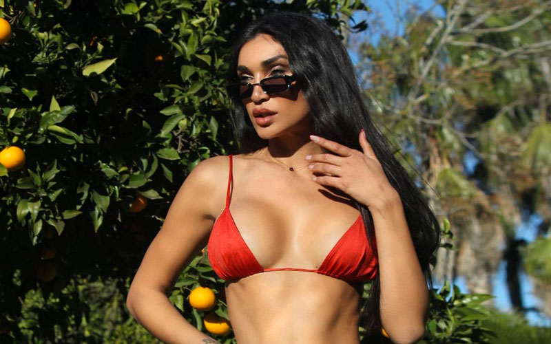 jolie mariée indienne à lunettes de soleil